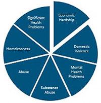 Trauma-informed care piechart